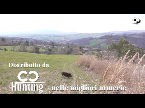 COLLARE GPS - TRAKER, Caccia al Cinghiale, Prova Pratica