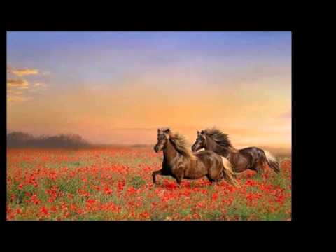 V ŠIRIM POLJU - Mikola KORPAŠ