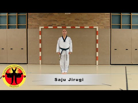 Saju Jirugi