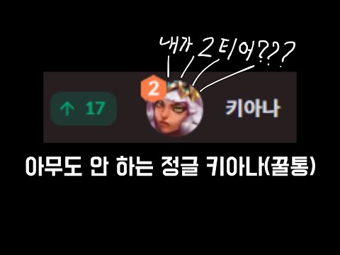 "에메랄드 이상 통계 = 2티어" 말 다함.