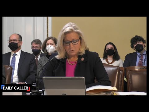Liz Cheney Reads Text Messages Sent To Mark Meadows On Jan. 6