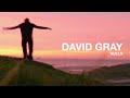 David Gray - Gulls (Official Video)