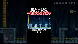 素人丸出しのルイージとの勝負の結末がヤバイｗ【マリオメーカー2/マリメ2】