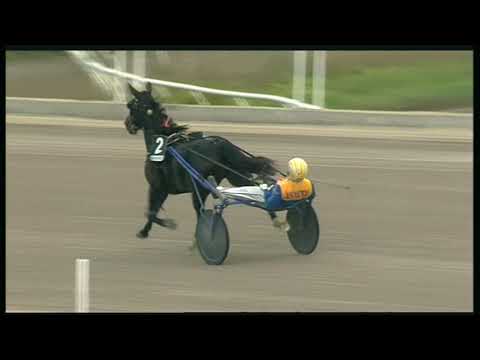 Trotto 24/10/2020 - 5ª corsa - speed race batt. B