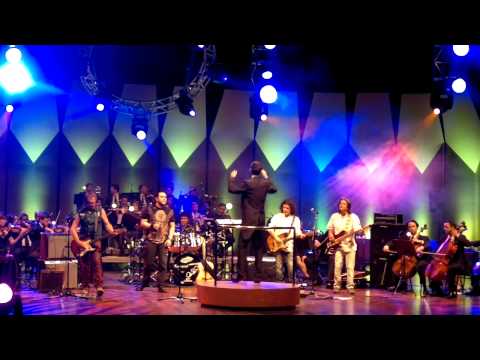 VIDA GOZADA - BLINDAGEM