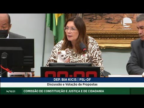Constituição e Justiça e de Cidadania - Discussão e votação de propostas - 14/10/2021