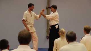 Aiki-Lab: Using mental imagery to produce beneficent intention