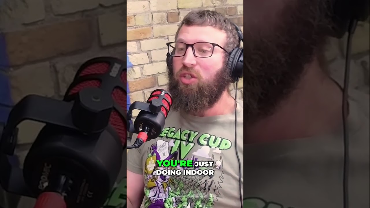 The Ultimate THC Gummy Guide