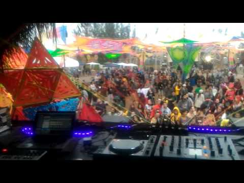 Sychotria @ Respect Festival 2016 - 10 Anos - Cananeia - SP - Brasil