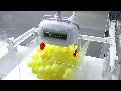 動画のサムネイル