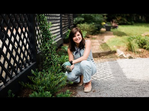 Learn to Landscape: Easy Backyard Projects - Official Trailer | Workshops | Magnolia Network