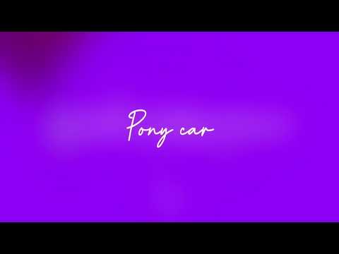 Młody Vini - PONY CAR
