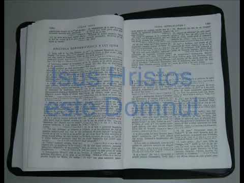 27   APOCALIPSA   Noul Testament   Biblia Audio Romana480x360