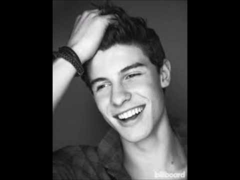 shawn mendes cover piano violon et violoncelle