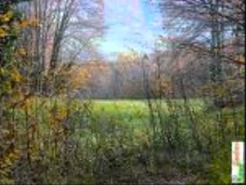 Tribute to Ivan Yefremov