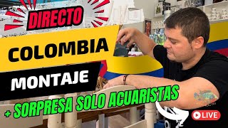 🚨 💶 DESCUENTOS 24 HORAS | + 🇨🇴 Peces de Colombia + 🪵 3 Montajes Biotopo en Dojo!