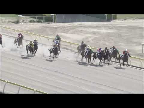 Apollo Ami (JPN) wins race 2 at Niigata 04/29/2018