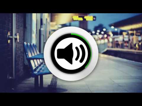 Tropical Jungle Sound Effect [Relaxing Nature Calm]