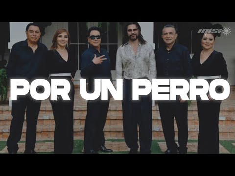Los Ángeles Azules, Juanes - Por un Perro (Letra)