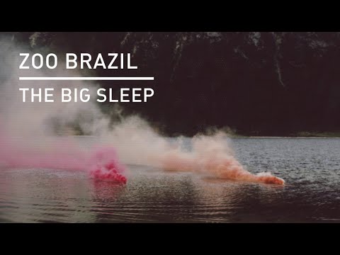 Zoo Brazil - Shift
