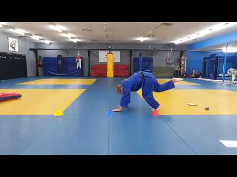 Kids at home Judo class - session 2