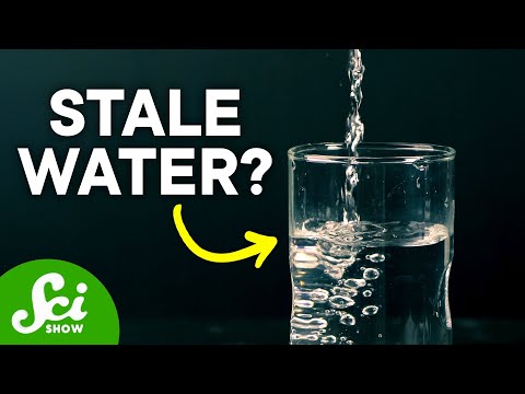 なぜ水は一晩で古くなってしまうのか？ (Why Does Water Go Stale Overnight?)