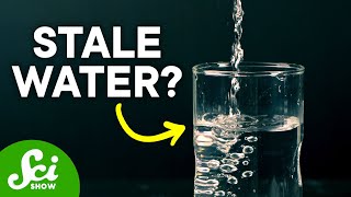 Why Does Water Go Stale Overnight?