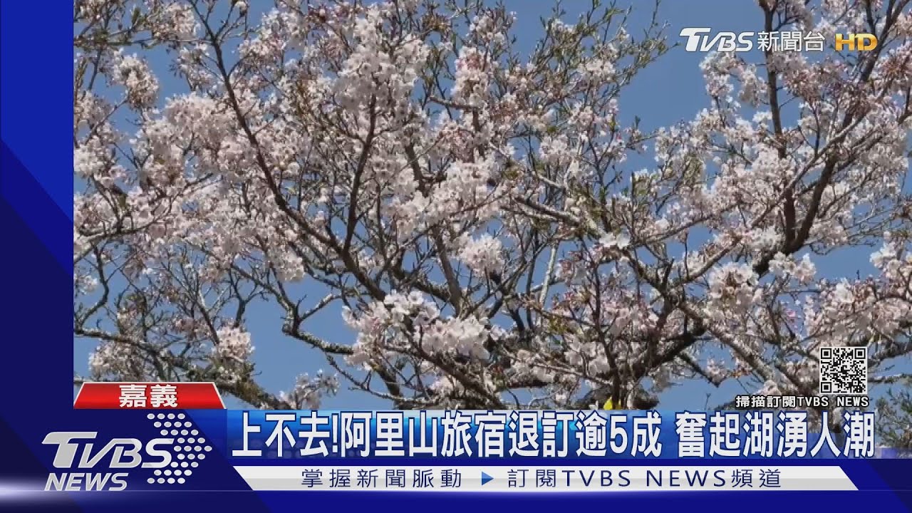 上不去!阿里山旅宿退訂逾5成 奮起湖湧人潮