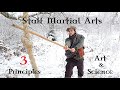 How to Swing a Stick PERFECTLY? - The Art & Science of Weaponry - STAFF Martial Arts