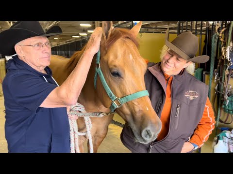 Karen and Bob Johnson use Soft Ride Boots to protect their horses' hooves from the heat of the road