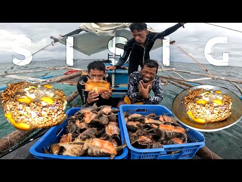 1st Time MUKBANG SISIG RANGA-RANGA or SPIDER SEASHELLS | Best Recipe | catch and cook