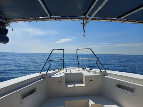 ABELLES MARXEM AL PORT AMB BLAUMAR