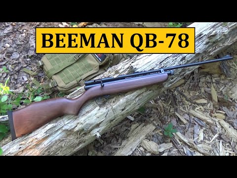 Beeman QB78 Pellet Rifle ($116) Review - Budget Friendly Air Gun Series