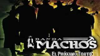 banda machos - el proximo tonto