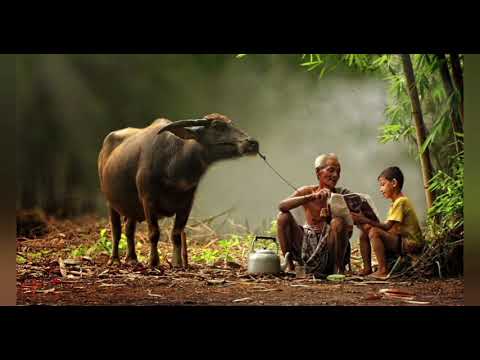 Eddy Silitonga - Ojo Dumeh (Lyrics) nostalgie odjoh lali Pop Jawa Suriname, Indonesia, Nederland,