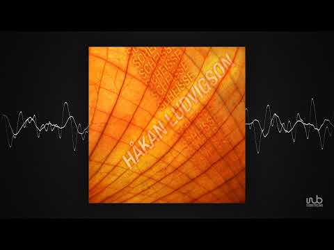 Hakan Ludvigson - Scheisse (Original Mix) (clubgreen45)