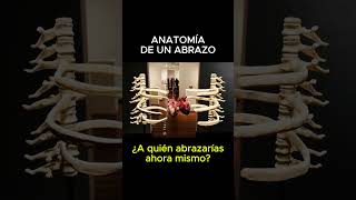 ¿A quién abrazarías en este momento?