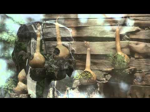 Najava, Moja lepa Srbija - Knjaževac