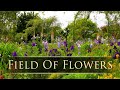 "Field Of Flowers" from MONET'S GARDEN by Dean & Dudley Evenson