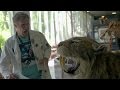 Will Ferrell - La Brea Tar Pits and Museum 'Speaks Saber-Tooth' Commercial