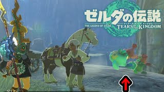 自 分 で 拾 え【ゼルダの伝説ティアーズオブキングダム】#25