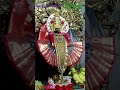 Navratri Status Third Day 2024 Grey Color Kolhapur Mahalaxmi WhatsApp Status 2024 2024 Shorts
