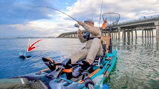 EVERYONE Passes This Spot By - LOADED With Tasty Fish!