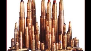 Army Vet - 'Stop Tragedies by Banning Ammo!'