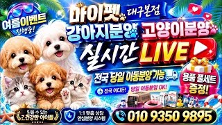 유튜브 썸네일