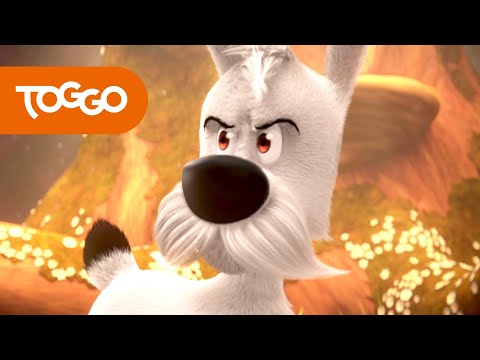 Das Beste von Idefix und die Unbeugsamen #1 | BEST OF TOGGO | Ganze Folgen