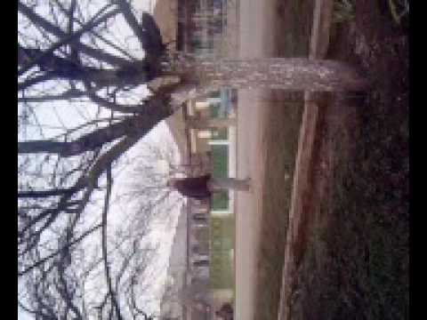 suca din terpezita caut jumatatea