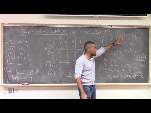 Math 392 Lecture 19 - Solving systems and the variety of solutions