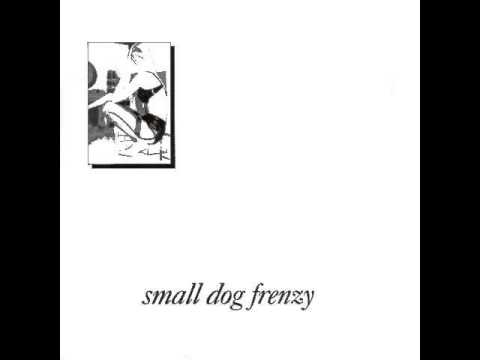 Small Dog Frenzy - This Sail