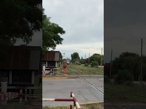tren n° 305 El marplatense por Coronel Brandsen rumbo a Mar del Plata